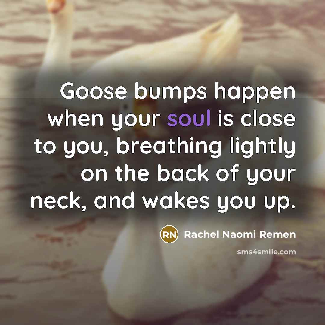 “Goose bumps happen when your soul is close to you,…” quote by Rachel Naomi Remen