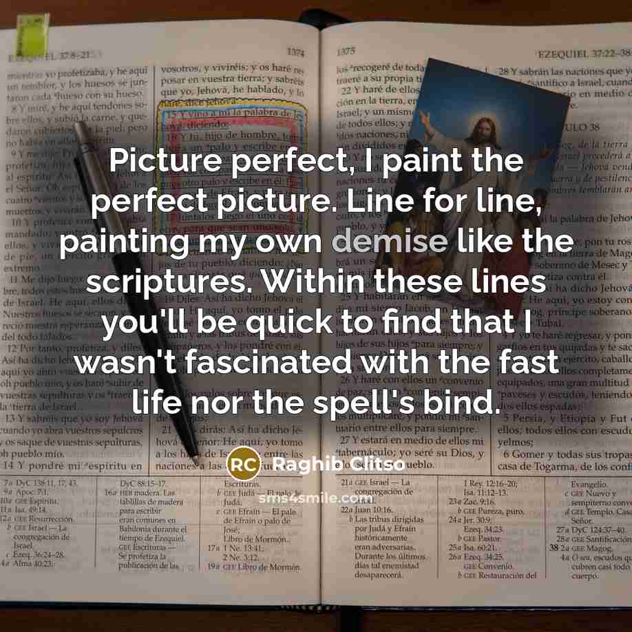 “Picture perfect, I paint the perfect picture. Line for line,…” quote by Raghib Clitso