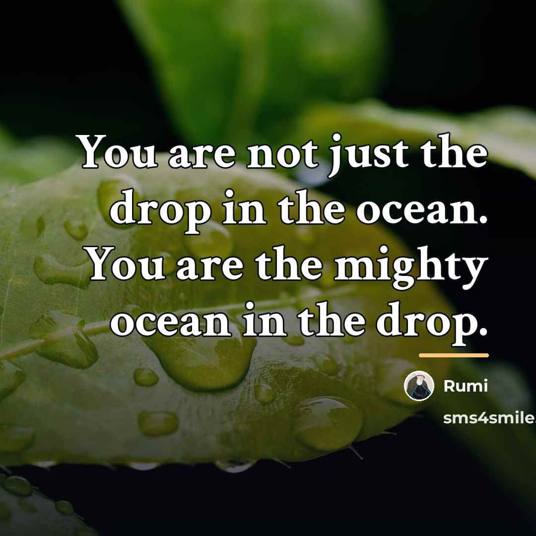 “You are not just the drop in the ocean. You…” quote by Rumi