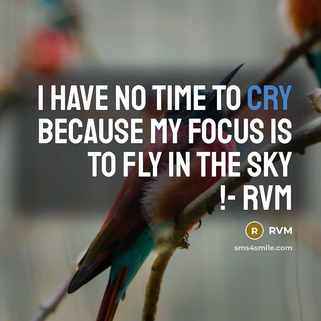“I have no time to Cry because my Focus is to Fly in the Sky !- RVM” quote by RVM