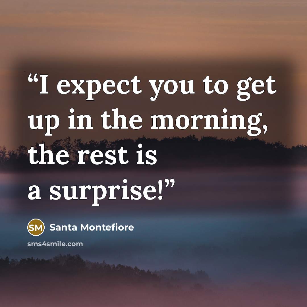 “I expect you to get up in the morning, the rest is a surprise!” quote by Santa Montefiore