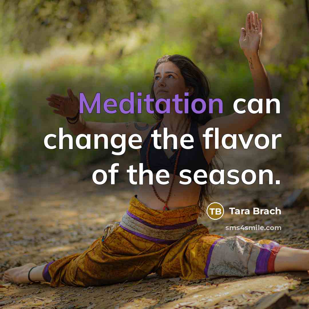 “Meditation can change the flavor of the season.…” quote by Tara Brach