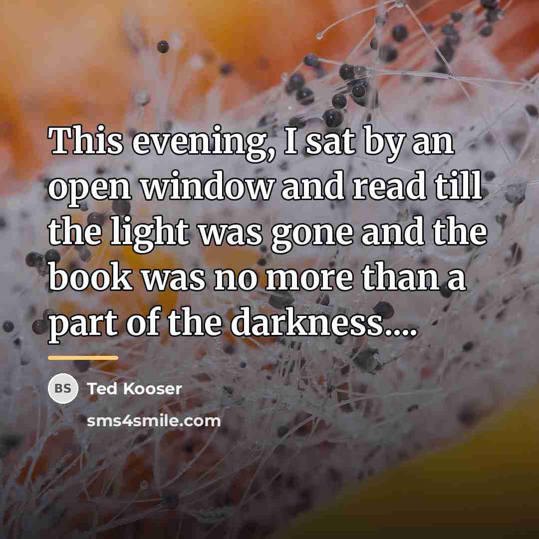 “This evening, I sat by an open window and read…” quote by Ted Kooser