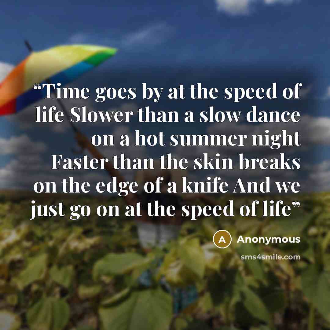 “Time goes by at the speed of life Slower than a slow dance on a hot summer night Faster than the skin breaks on the edge of a knife And we just go on at the speed of life” quote by Anonymous