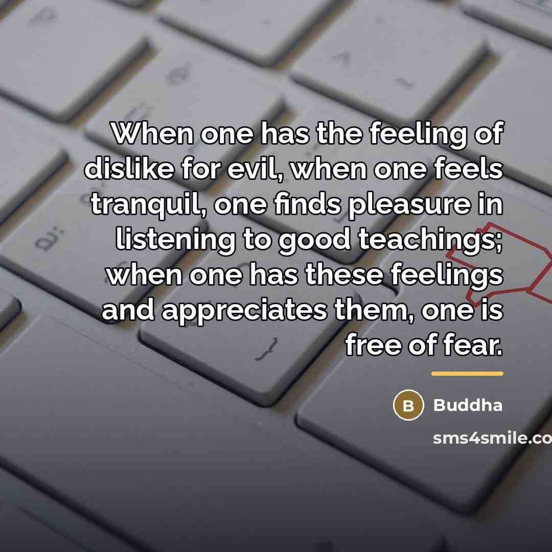“When one has the feeling of dislike for evil, when…” quote by Buddha