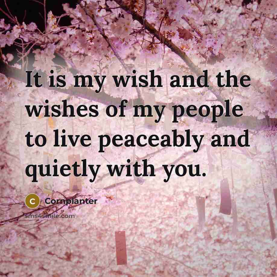 “It is my wish and the wishes of my people to live peaceably and quietly with you.” quote by Cornplanter