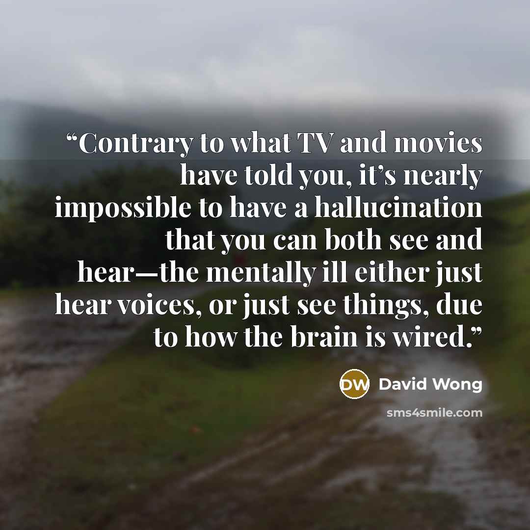 “Contrary to what TV and movies have told you, it’s nearly impossible to have a hallucination that you can both see and hear—the mentally ill either just hear voices, or just see things, due to how the brain is wired.” quote by David Wong