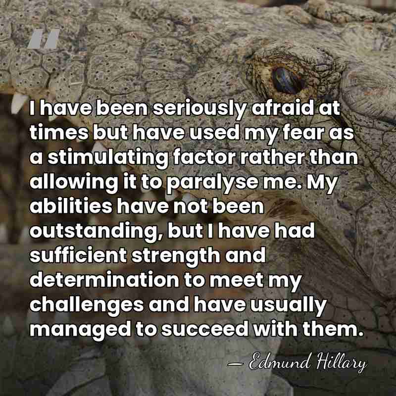 I have been seriously afraid at times but have used my fear&hellip; - Edmund Hillary