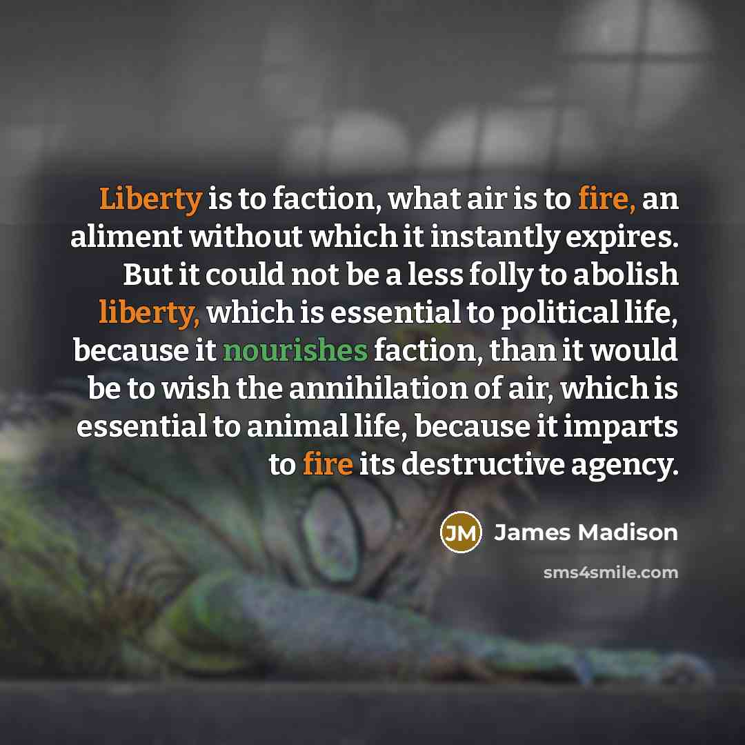 “Liberty is to faction, what air is to fire, an aliment without which it instantly expires. But it could not be a less folly to abolish liberty, which is essential to political life, because it nourishes faction, than it would be to wish the annihilation of air, which is essential to animal life…” quote by James Madison