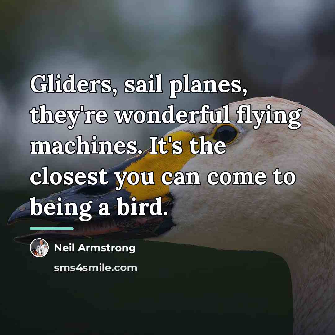 “Gliders, sail planes, they're wonderful flying machines. It's the closest…” quote by Neil Armstrong