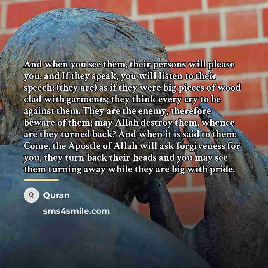“And when you see them, their persons will please you,…” quote by Quran