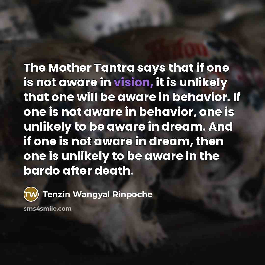 “The Mother Tantra says that if one is not aware…” quote by Tenzin Wangyal Rinpoche