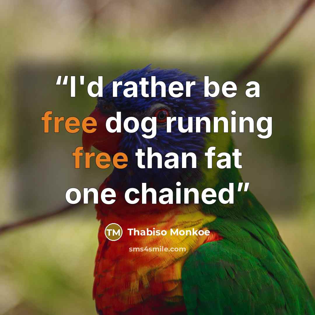 “I'd rather be a free dog running free than fat one chained” quote by Thabiso Monkoe