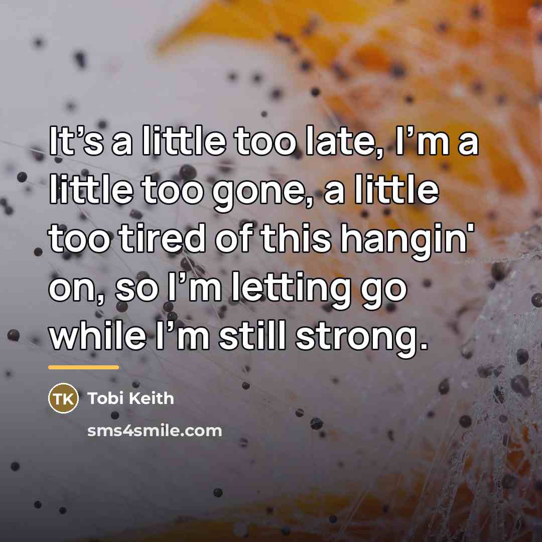 “It's a little too late, I'm a little too gone,…” quote by Tobi Keith