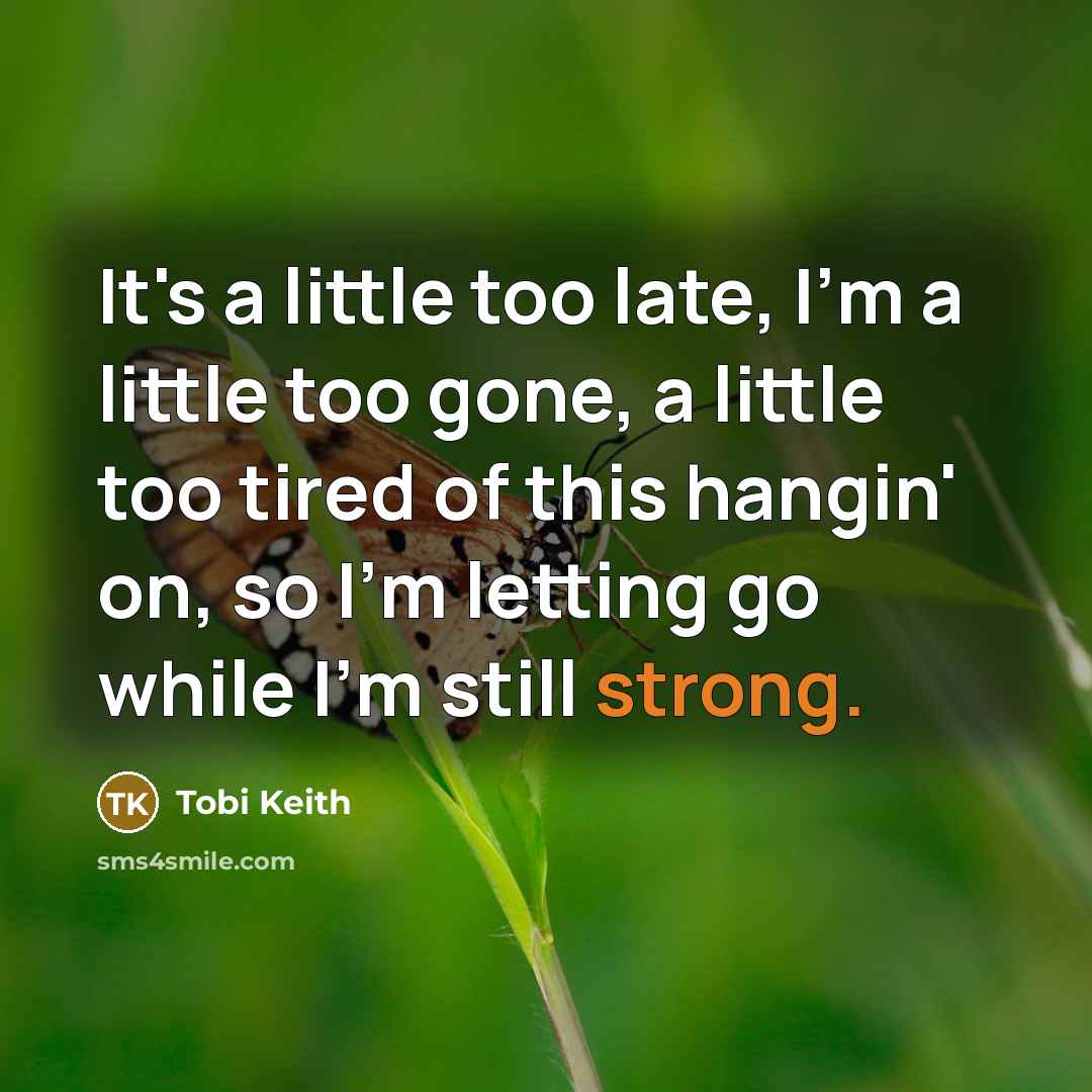 “It's a little too late, I'm a little too gone, a little too tired of this hangin' on, so I'm letting go while I'm still strong.” quote by Tobi Keith