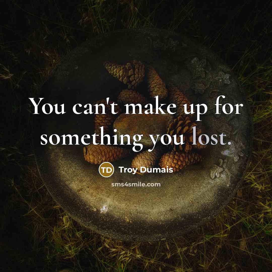 “You can't make up for something you lost.…” quote by Troy Dumais