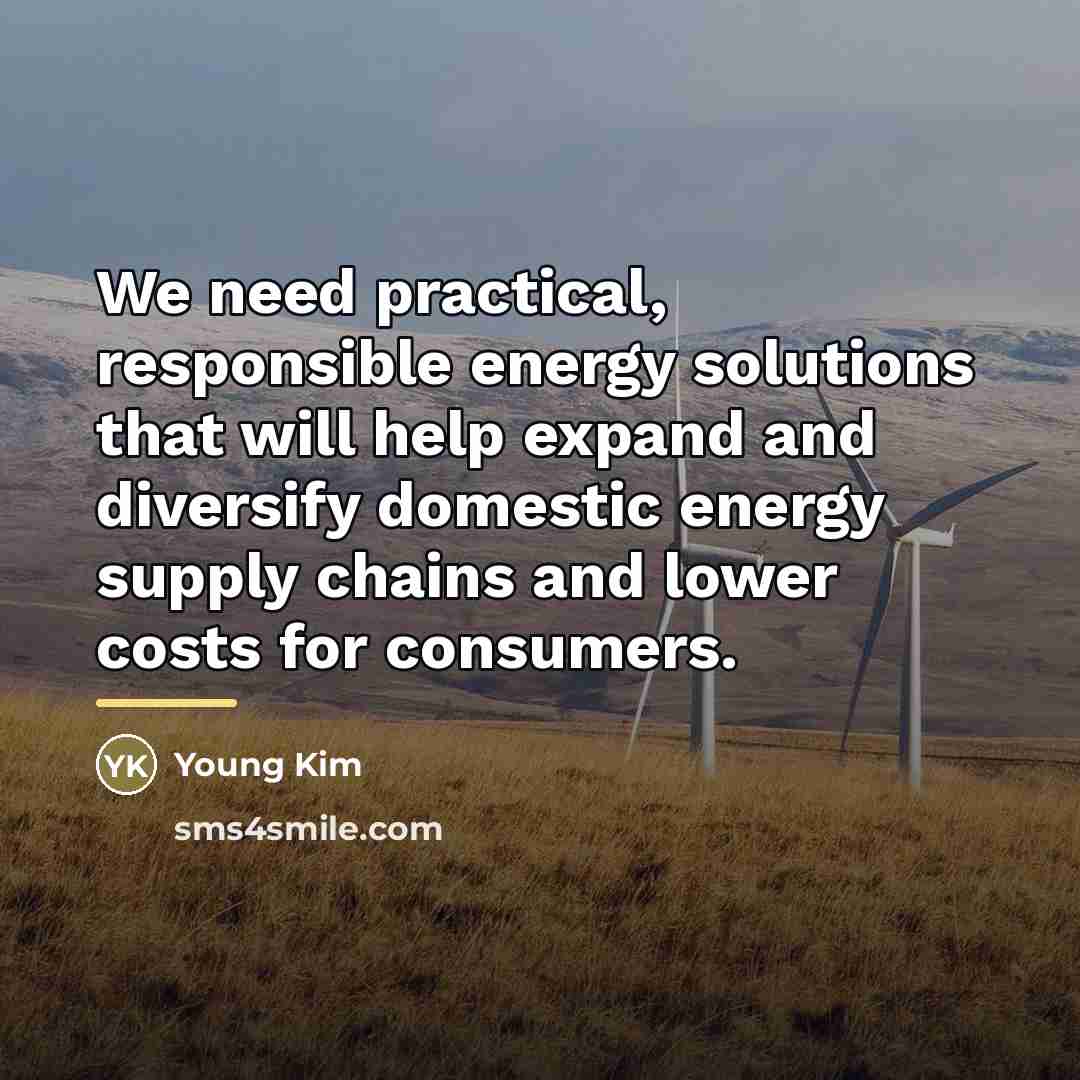 “We need practical, responsible energy solutions that will help expand…” quote by Young Kim