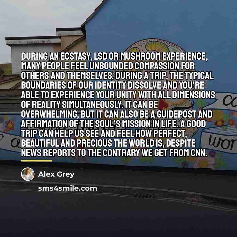 “During an Ecstasy, LSD or mushroom experience, many people feel…” quote by Alex Grey