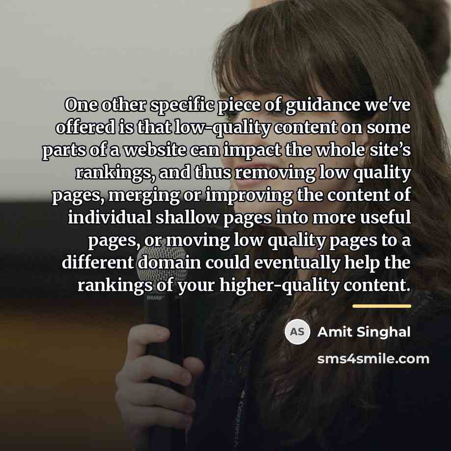“One other specific piece of guidance we've offered is that…” quote by Amit Singhal