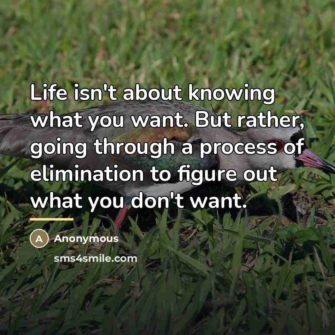 “Life isn't about knowing what you want. But rather, going…” quote by Anonymous