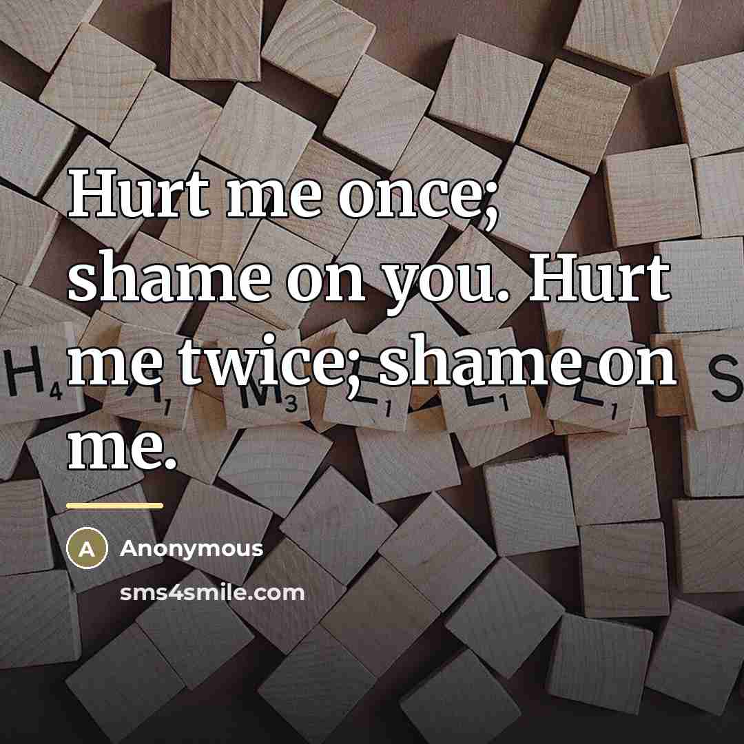 “Hurt me once; shame on you. Hurt me twice; shame…” quote by Anonymous