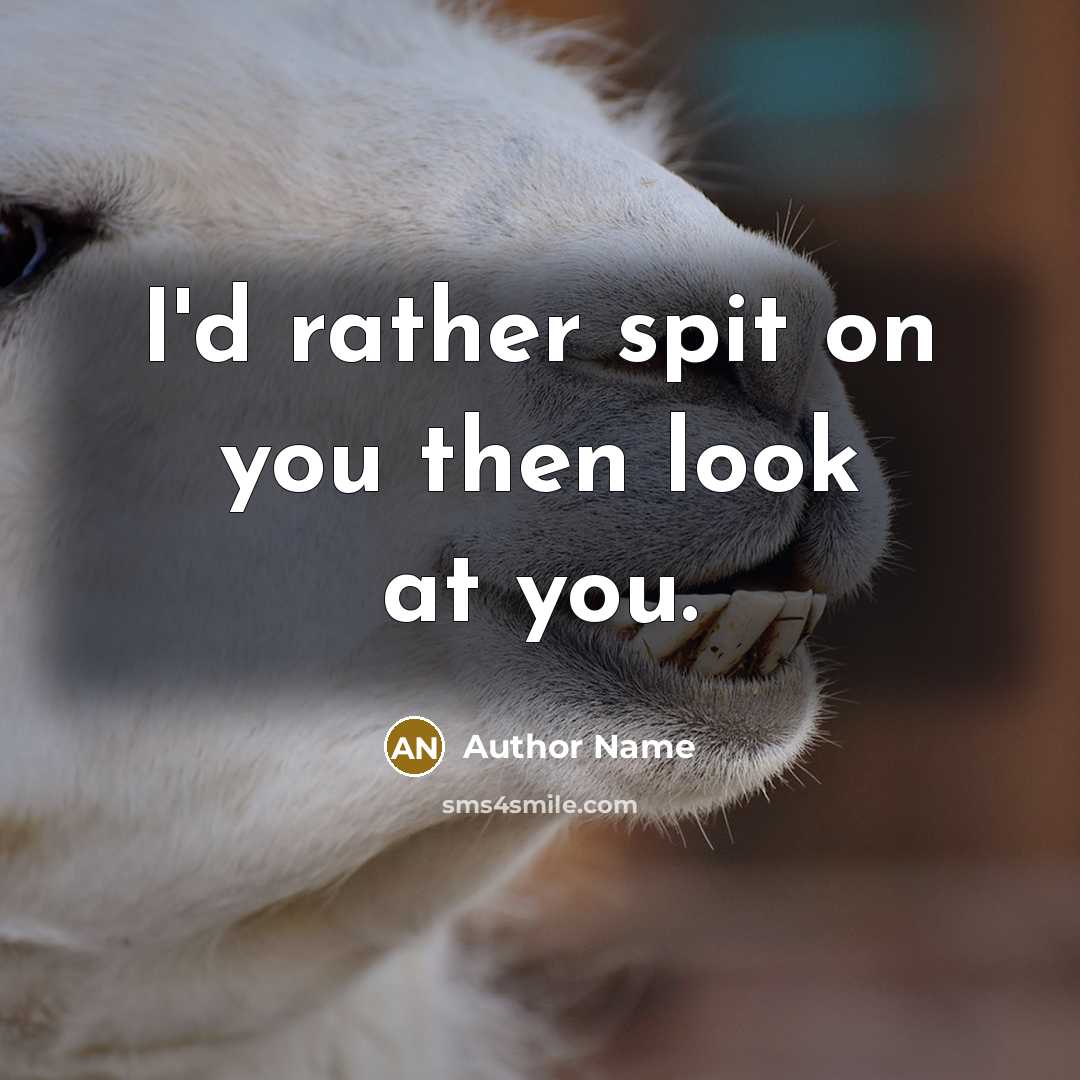 “I'd rather spit on you then look at you.…” quote by Author Name