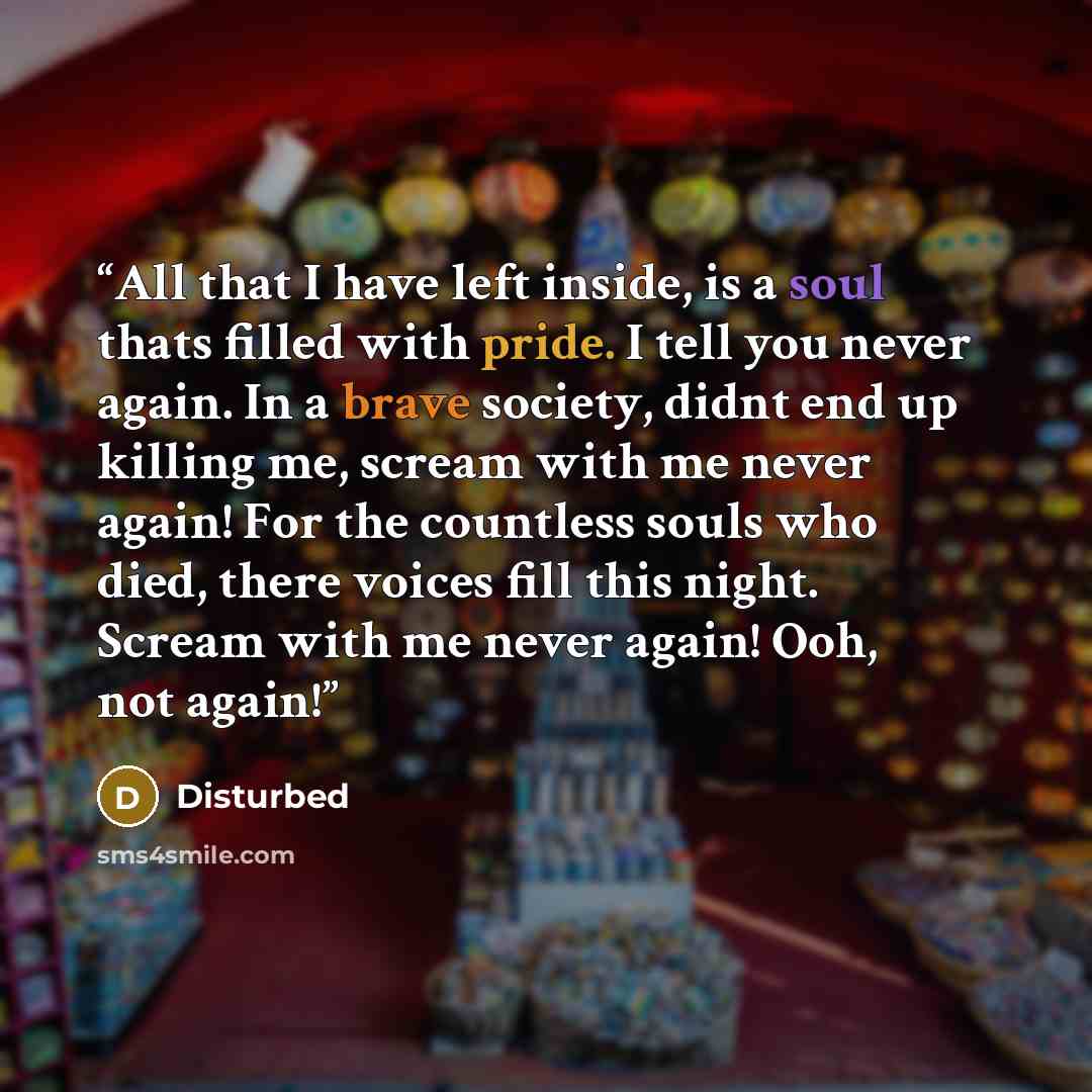 “All that I have left inside, is a soul thats filled with pride. I tell you never again. In a brave society, didnt end up killing me, scream with me never again! For the countless souls who died, there voices fill this night. Scream with me never again! Ooh, not again!” quote by Disturbed