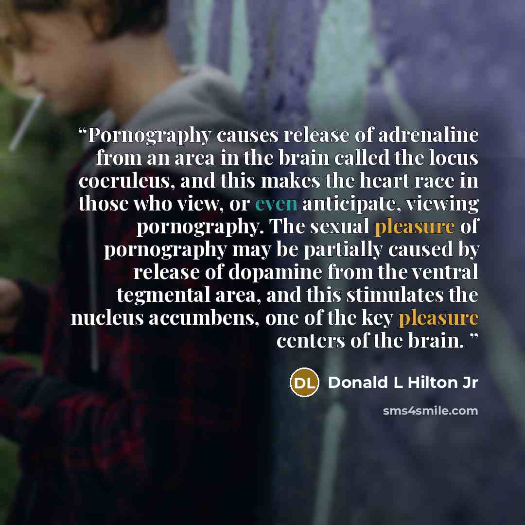 “Pornography causes release of adrenaline from an area in the brain called the locus coeruleus, and this makes the heart race in those who view, or even anticipate, viewing pornography. The sexual pleasure of pornography may be partially caused by release of dopamine from the ventral tegmental…” quote by Donald L Hilton Jr