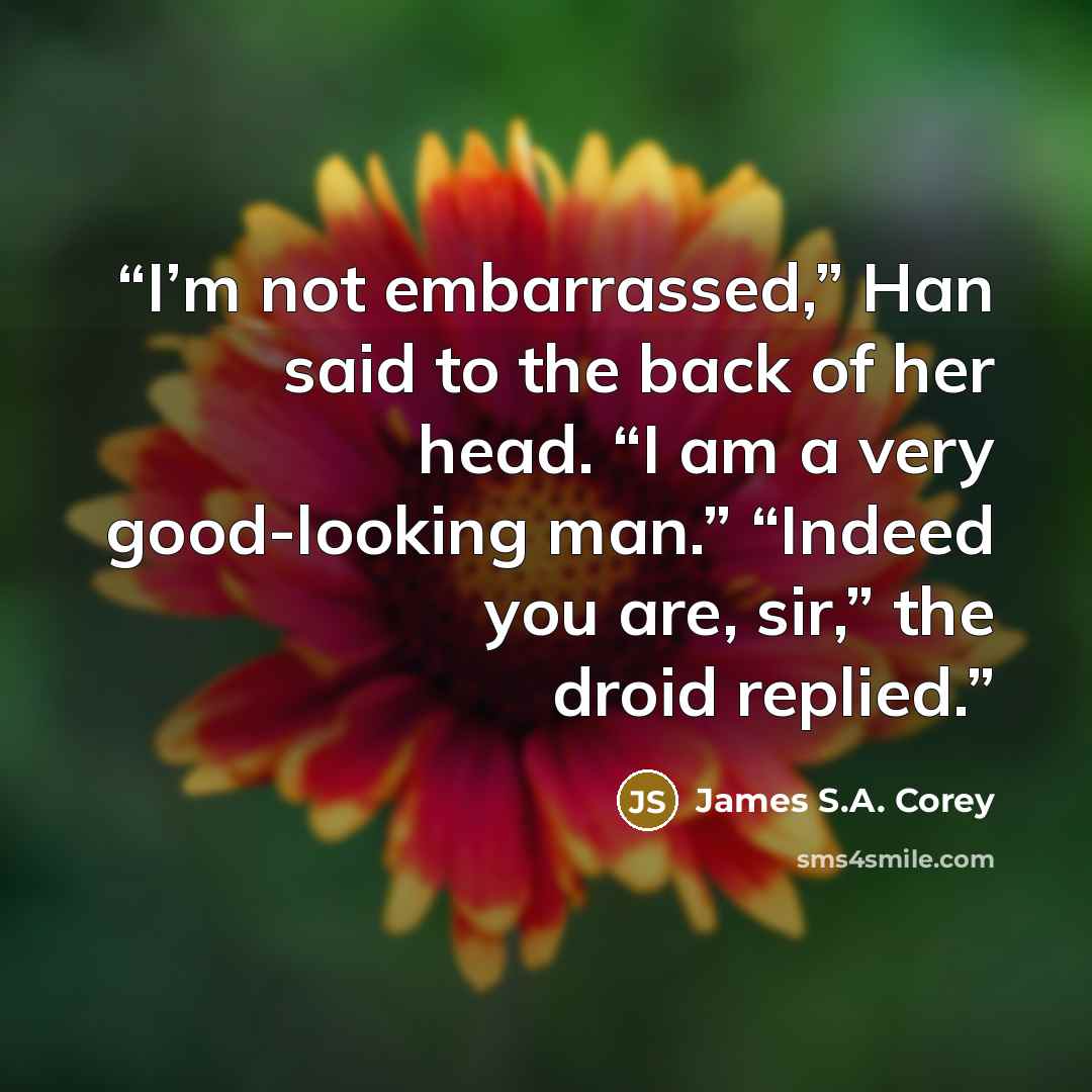 “I’m not embarrassed,” Han said to the back of her head. “I am a very good-looking man.” “Indeed you are, sir,” the droid replied.” quote by James S.A. Corey