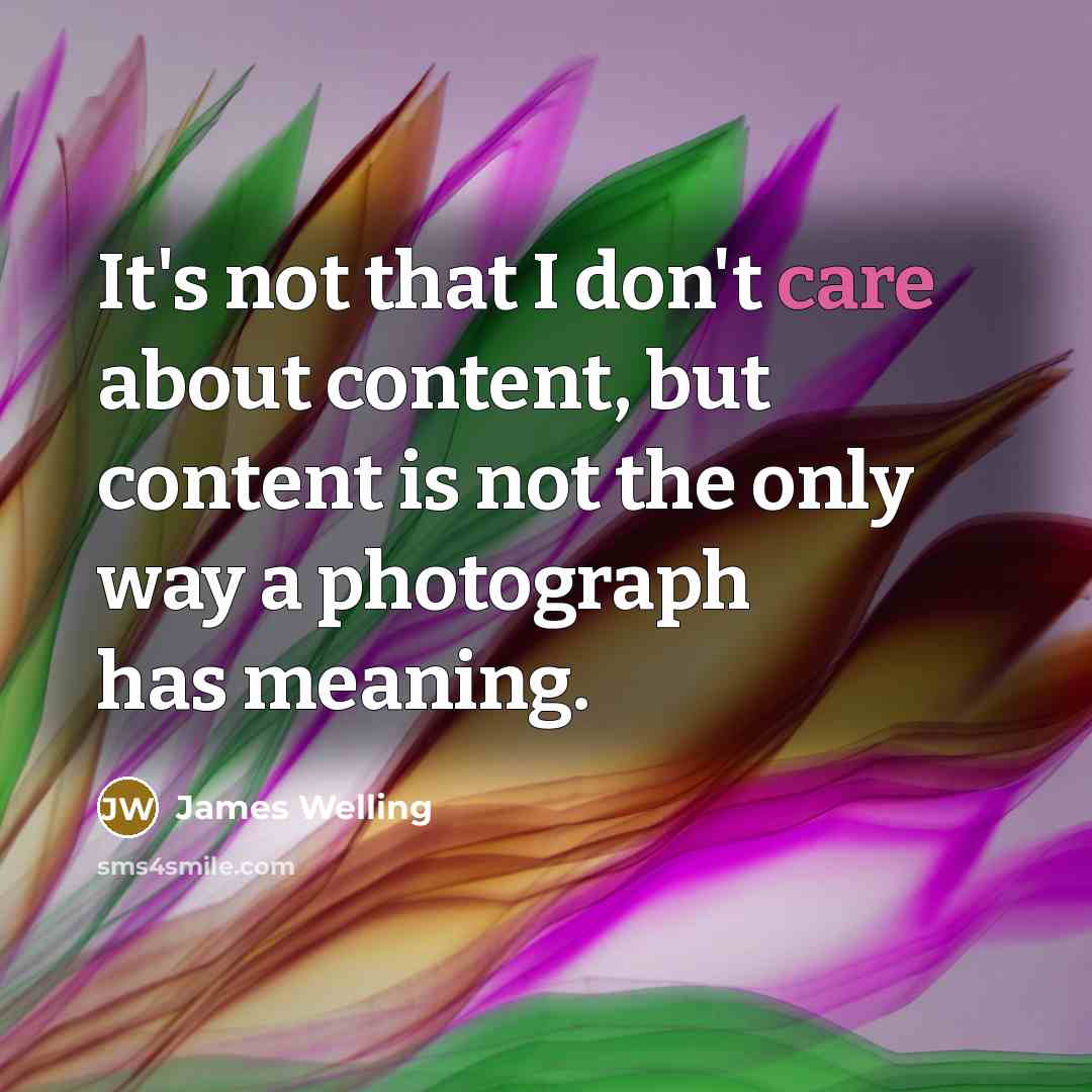 “It's not that I don't care about content, but content…” quote by James Welling