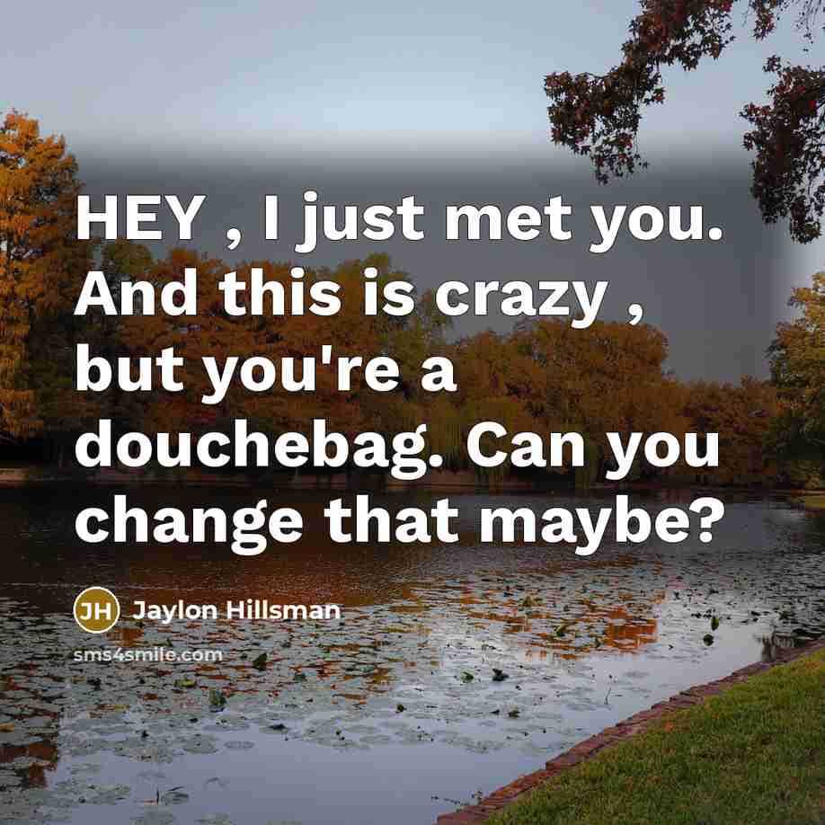“HEY , I just met you. And this is crazy…” quote by Jaylon Hillsman
