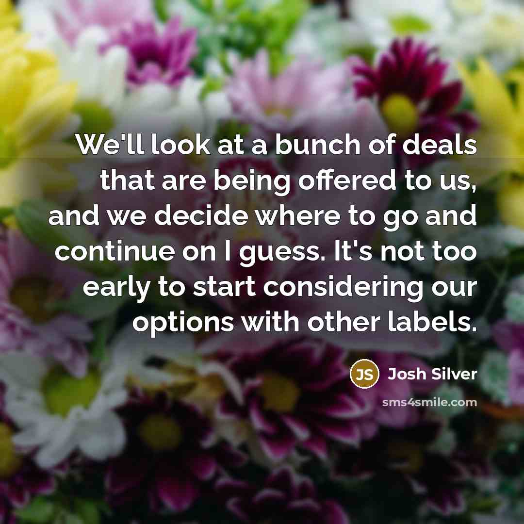 “We'll look at a bunch of deals that are being…” quote by Josh Silver