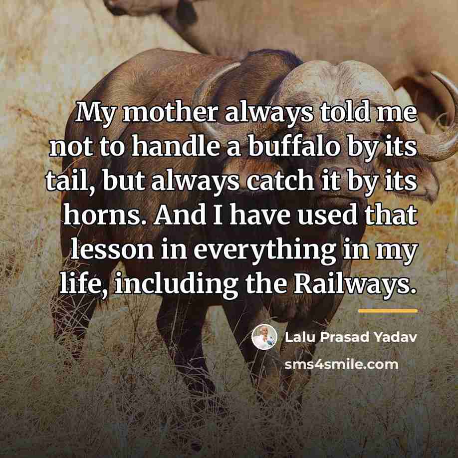 “My mother always told me not to handle a buffalo…” quote by Lalu Prasad Yadav