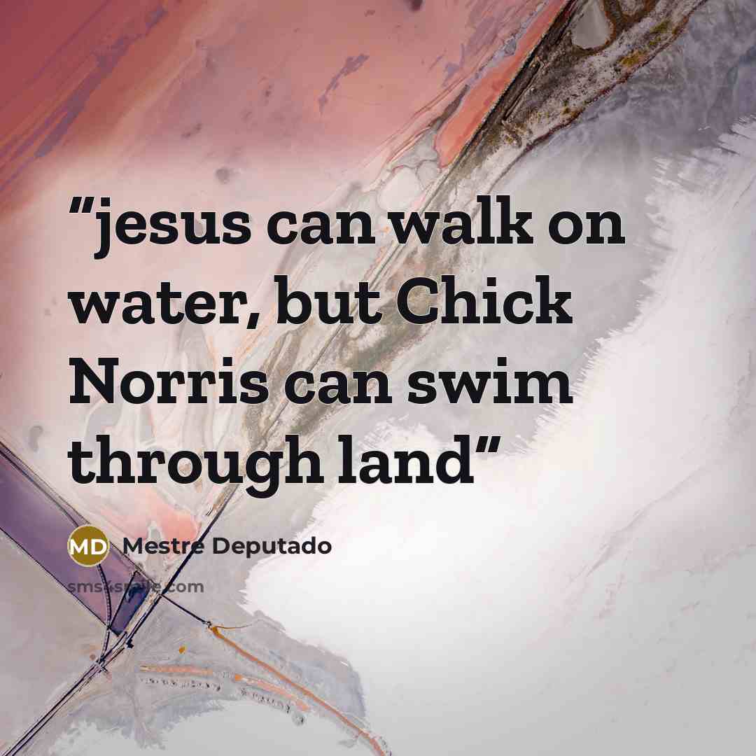 “jesus can walk on water, but Chick Norris can swim through land” quote by Mestre Deputado