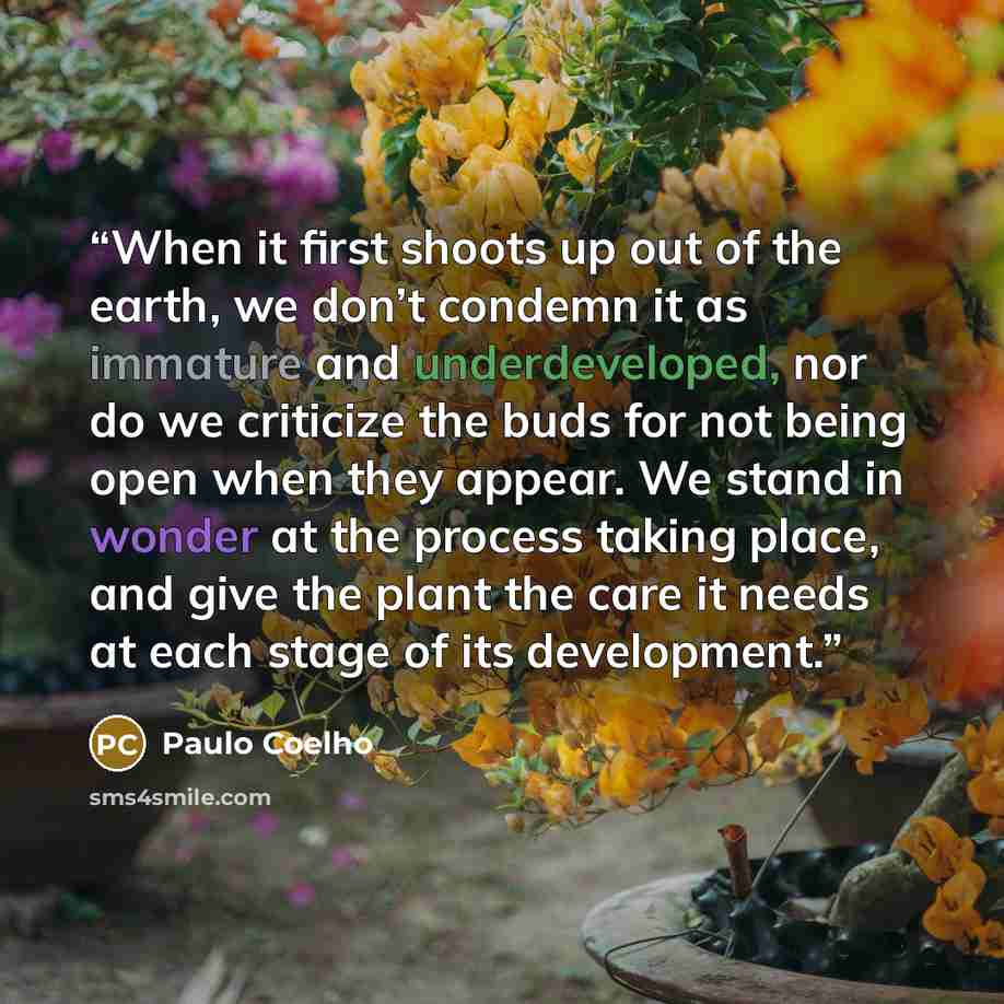 “When it first shoots up out of the earth, we don’t condemn it as immature and underdeveloped, nor do we criticize the buds for not being open when they appear. We stand in wonder at the process taking place, and give the plant the care it needs at each stage of its development.” quote by Paulo Coelho