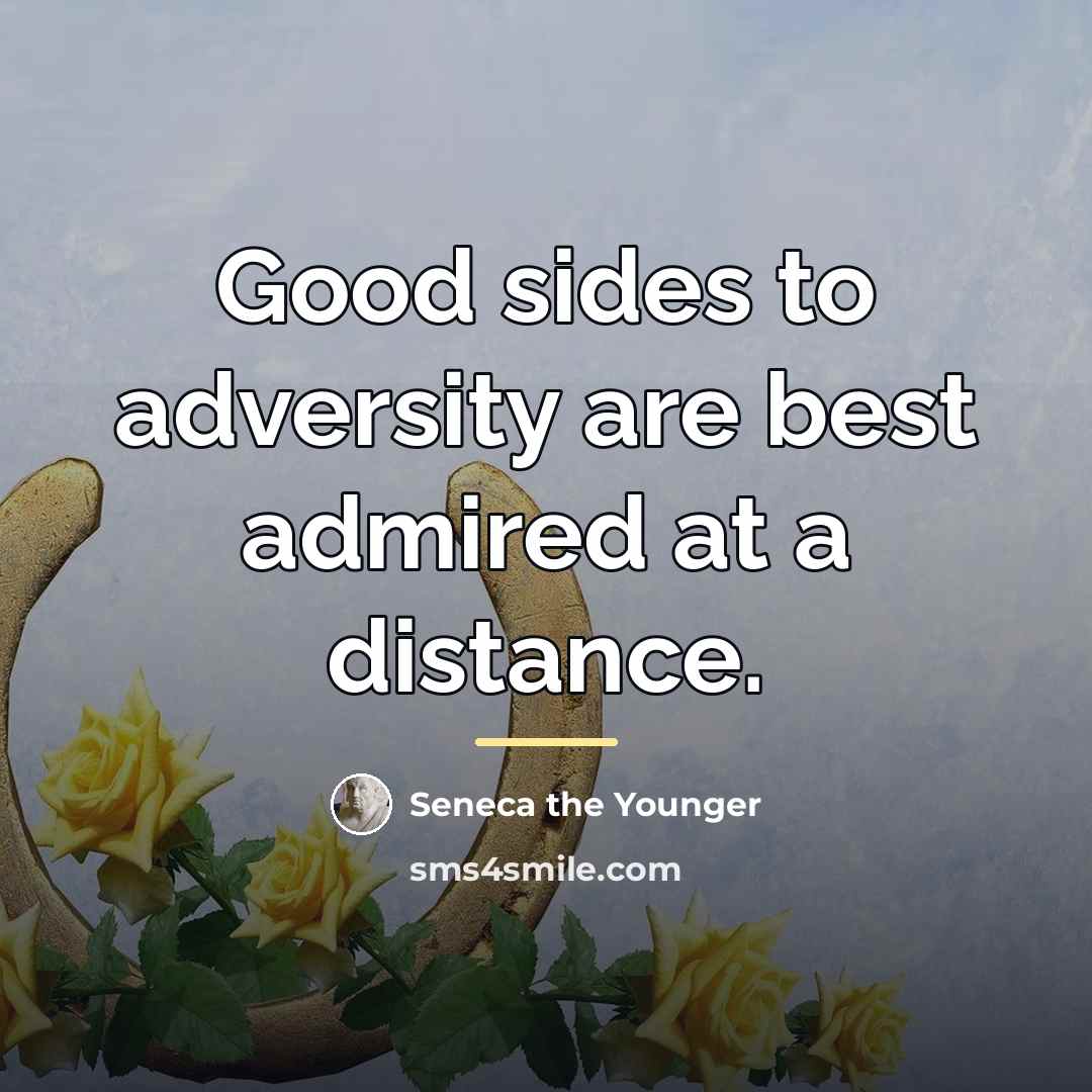 “Good sides to adversity are best admired at a distance.…” quote by Seneca the Younger