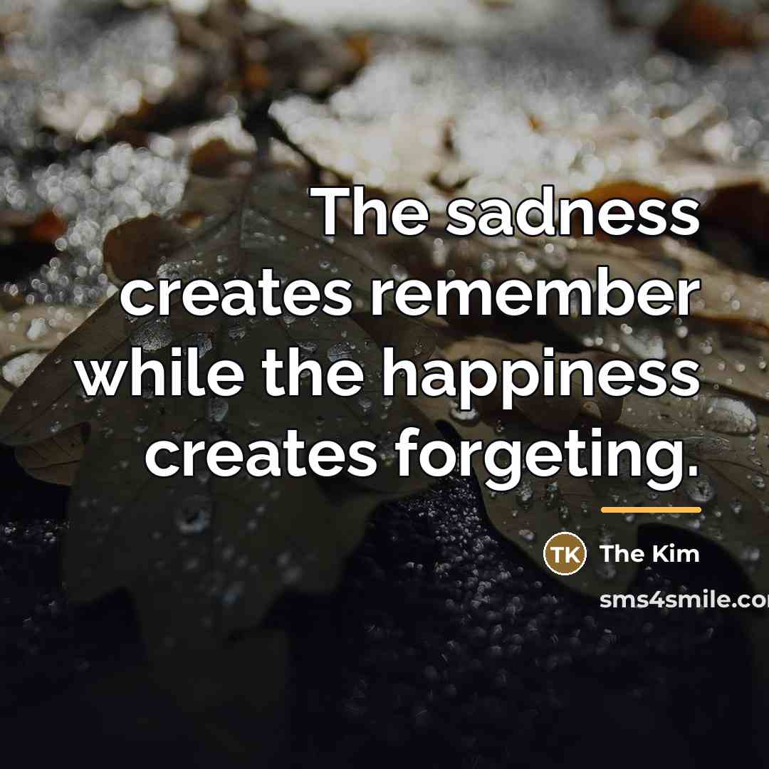 “The sadness creates remember while the happiness creates forgeting.…” quote by The Kim