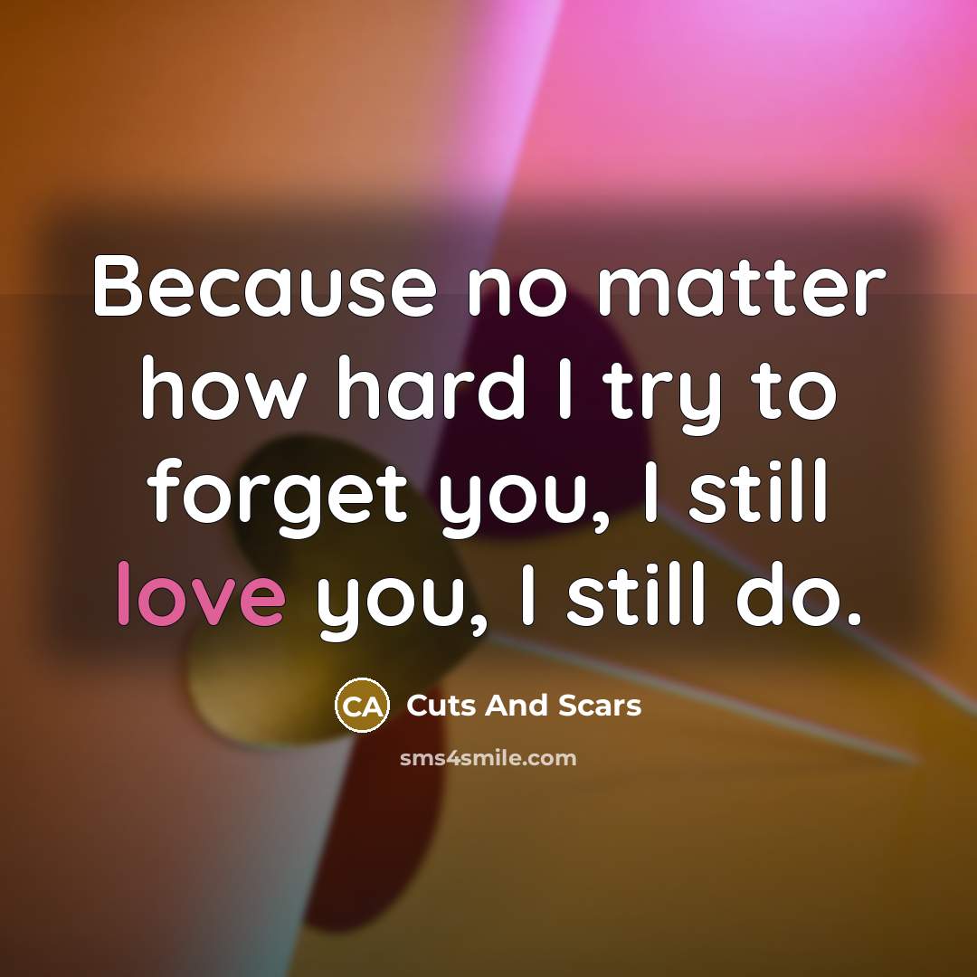 “Because no matter how hard I try to forget you,…” quote by Cuts And Scars