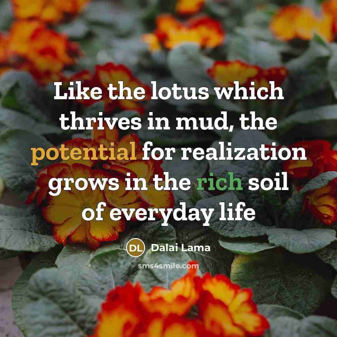 “Like the lotus which thrives in mud, the potential for…” quote by Dalai Lama