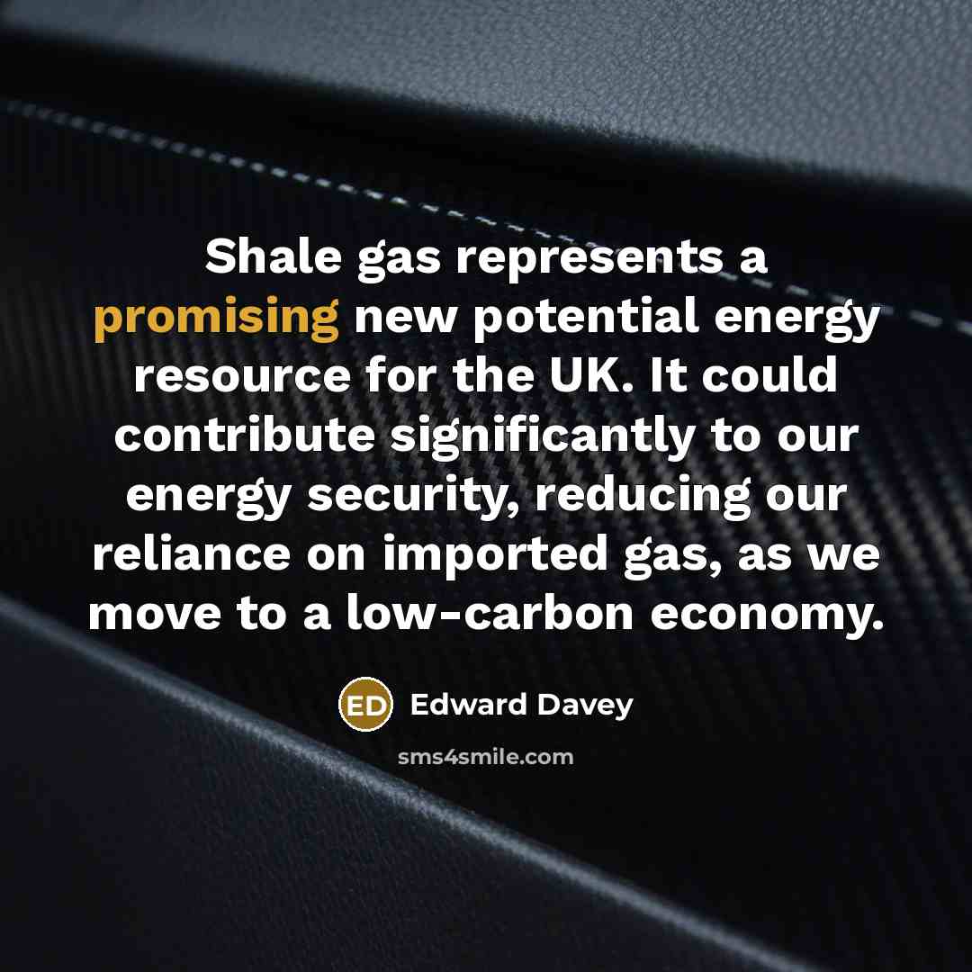 “Shale gas represents a promising new potential energy resource for…” quote by Edward Davey