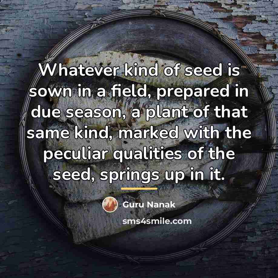 “Whatever kind of seed is sown in a field, prepared…” quote by Guru Nanak