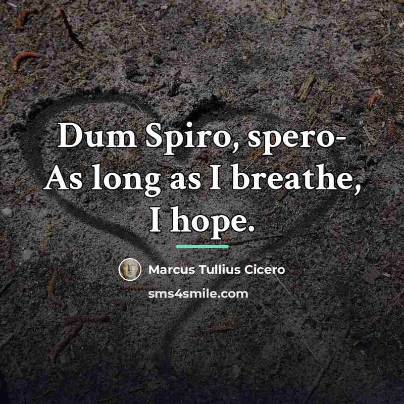 “Dum Spiro, spero- As long as I breathe, I hope.…” quote by Marcus Tullius Cicero