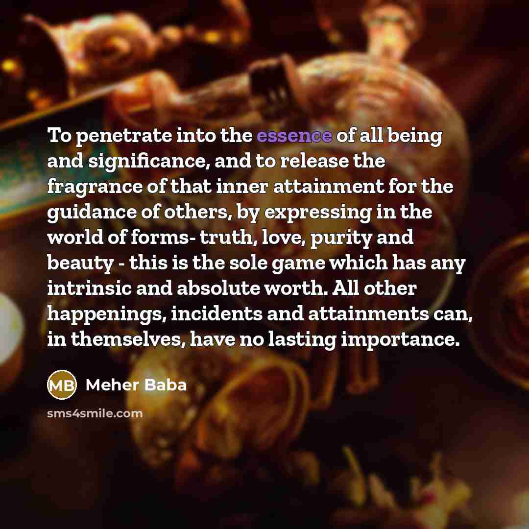 “To penetrate into the essence of all being and significance,…” quote by Meher Baba
