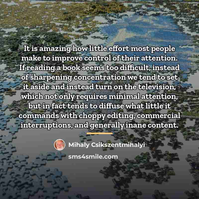 “It is amazing how little effort most people make to…” quote by Mihaly Csikszentmihalyi