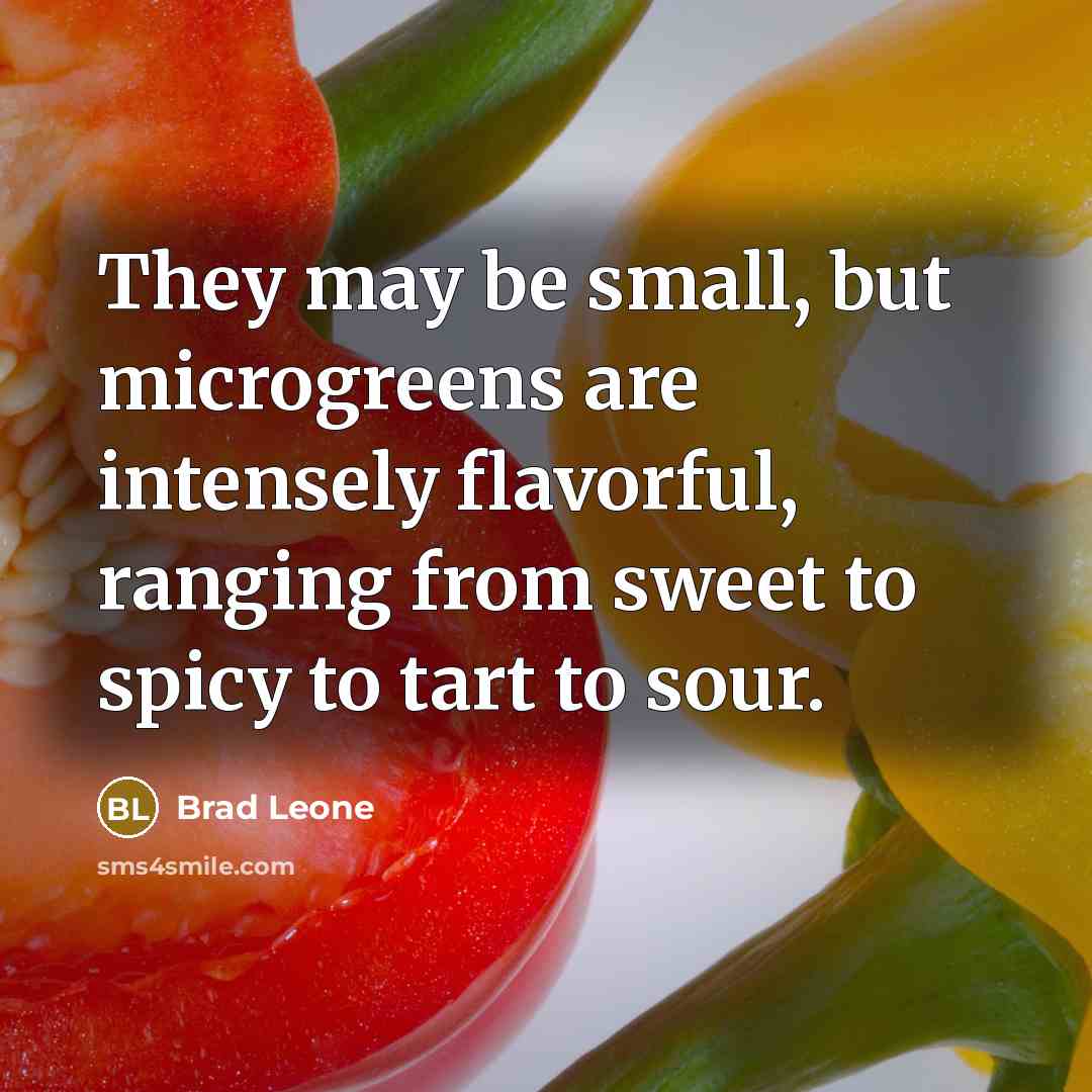“They may be small, but microgreens are intensely flavorful, ranging from sweet to spicy to tart to sour.” quote by Brad Leone