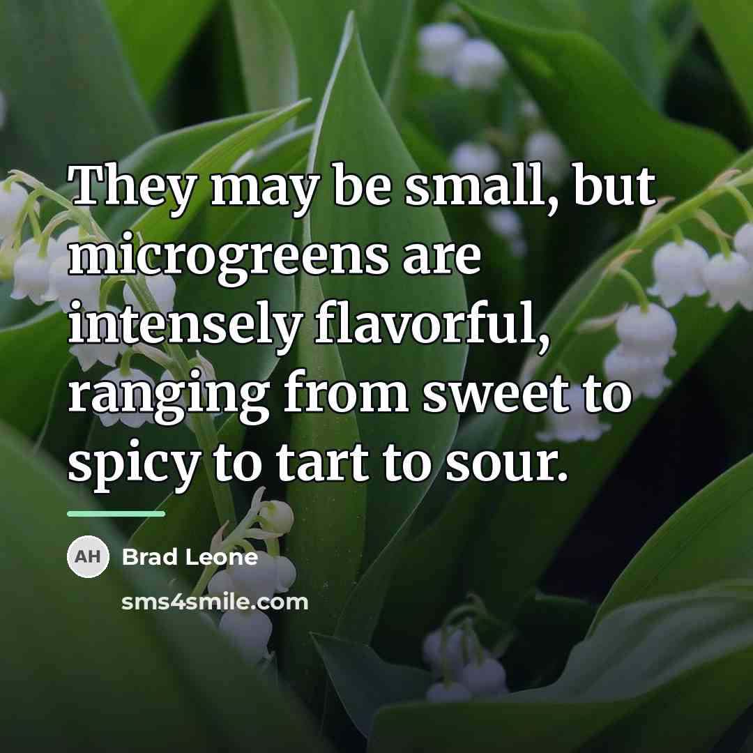 “They may be small, but microgreens are intensely flavorful, ranging…” quote by Brad Leone