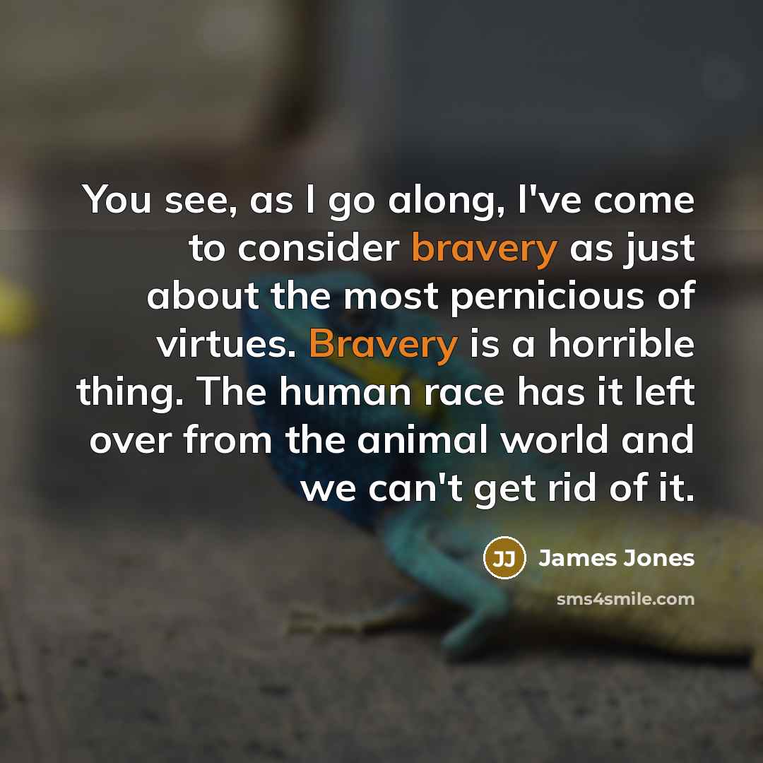 “You see, as I go along, I've come to consider…” quote by James Jones