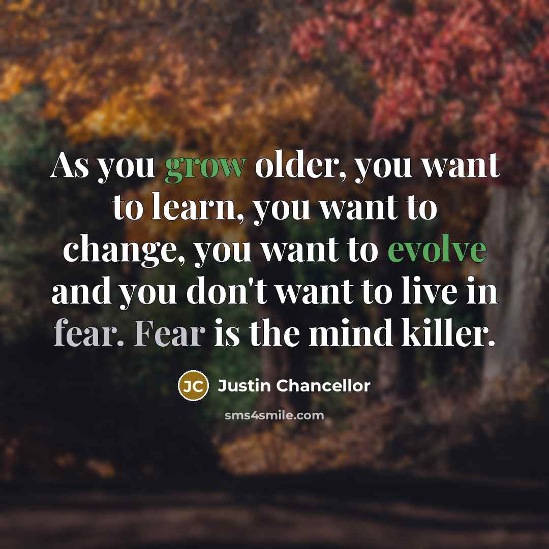 “As you grow older, you want to learn, you want…” quote by Justin Chancellor