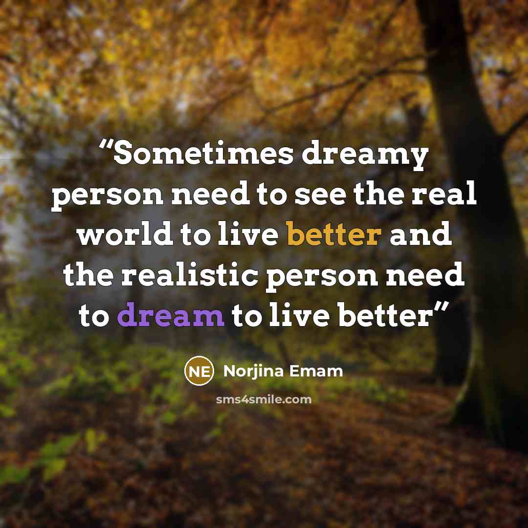 “Sometimes dreamy person need to see the real world to live better and the realistic person need to dream to live better” quote by Norjina Emam