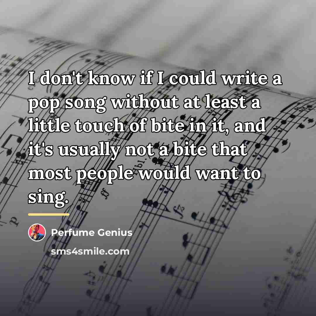 “I don't know if I could write a pop song…” quote by Perfume Genius
